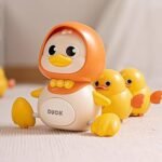 Rocking Duck Gift box Set